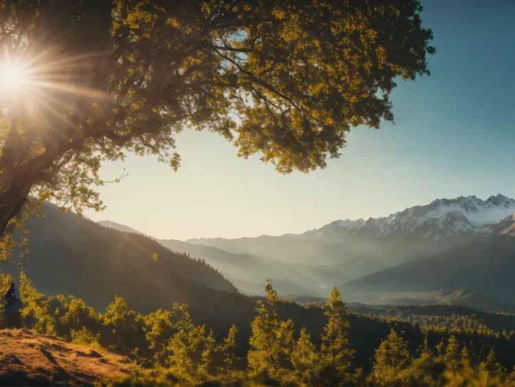 Horizon Forest